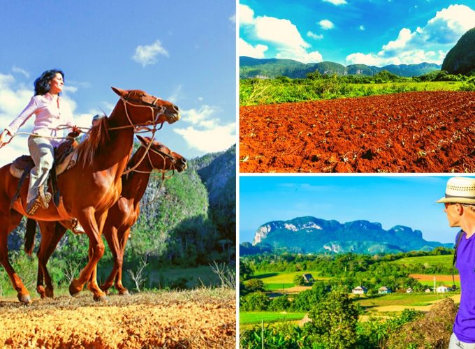 vinales-cuba-excursion-Horse