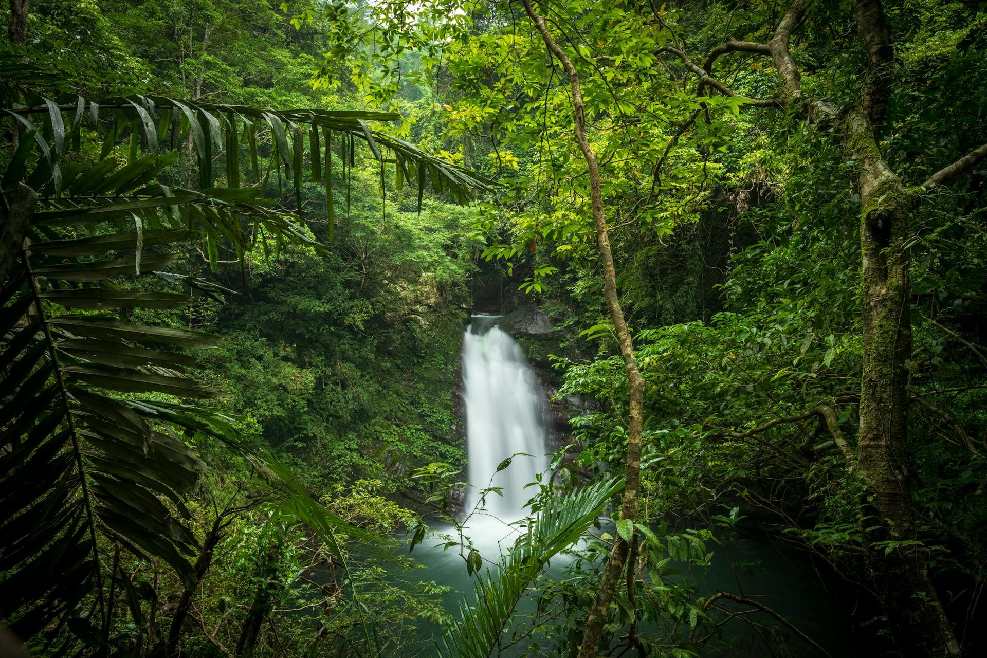 Hidden jungle waterfall in the Dominican Republic highlands