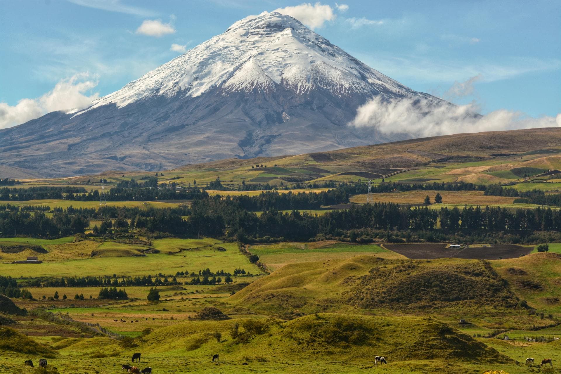 Snow-capped Cotopaxi Volcano against clear skies in the Ecuadorian Andes