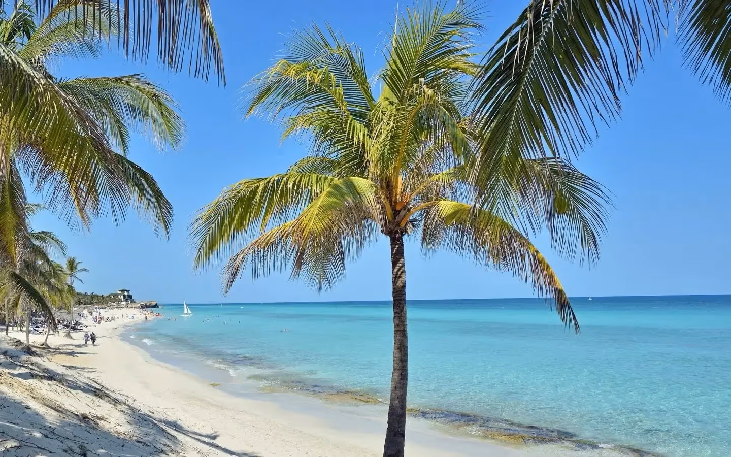 A vibrant tropical beach scene with clear turquoise water, white sand, and lush green palm trees under a bright blue sky.