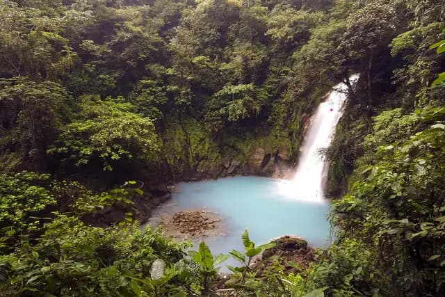 The turquoise pool below the Río Celeste waterfall, surrounded by rainforest in Tenorio Volcano National Park, Costa Rica