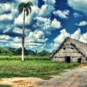 Los Mogotes - Vinales - Cuba