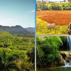 Vinales Private Excursion - Travelfab holidays