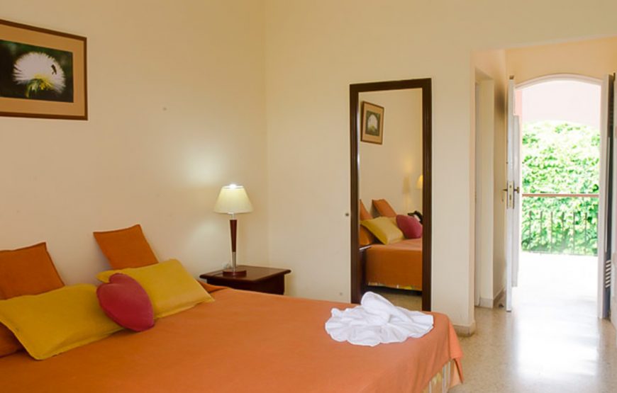 Junior Suite Room- Los Jazmines