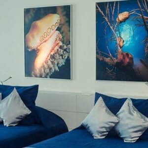 Hotel terral cuba twin room