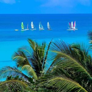 Ocean View - MLA94