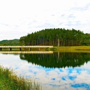 las terrazas lake view