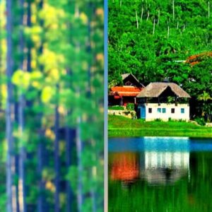 Excursions-las-terrazas- 1800 x 580
