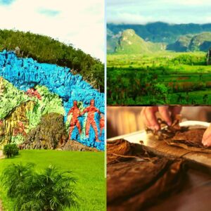 vinales - excursion - collage