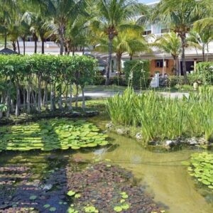 H Melia Cayo Guillermo - Travelfab-11