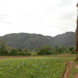 vinales excursion