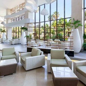 sol-palmeras-lobby